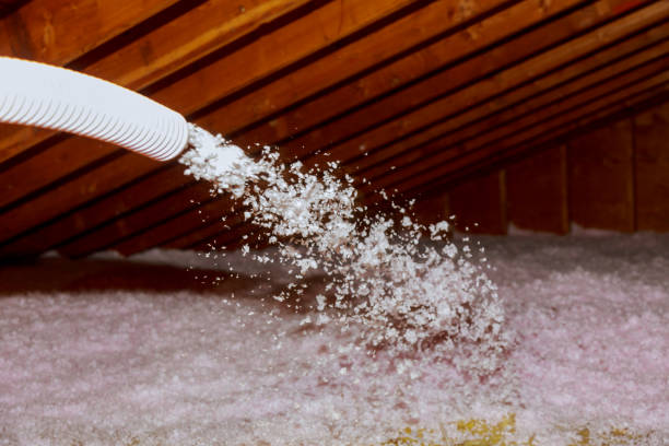 Best Cellulose Insulation in Saunders Lake, OR